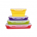 Collapsible Containers – Set of 4 